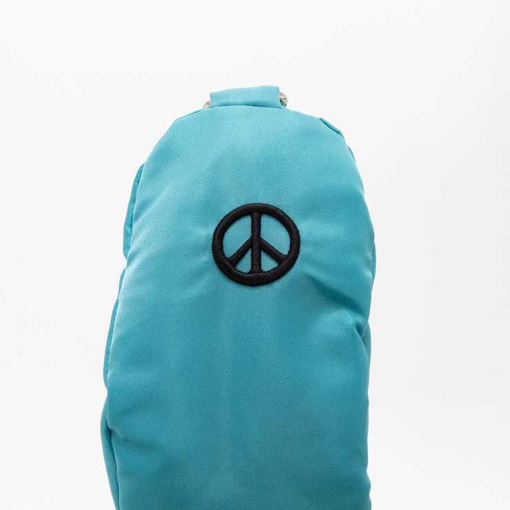 TEAL FW Cover